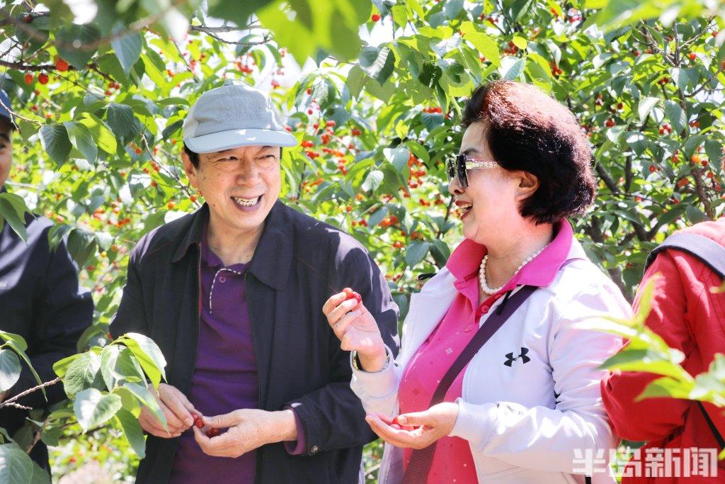 第二十九届北宅樱桃节开幕!