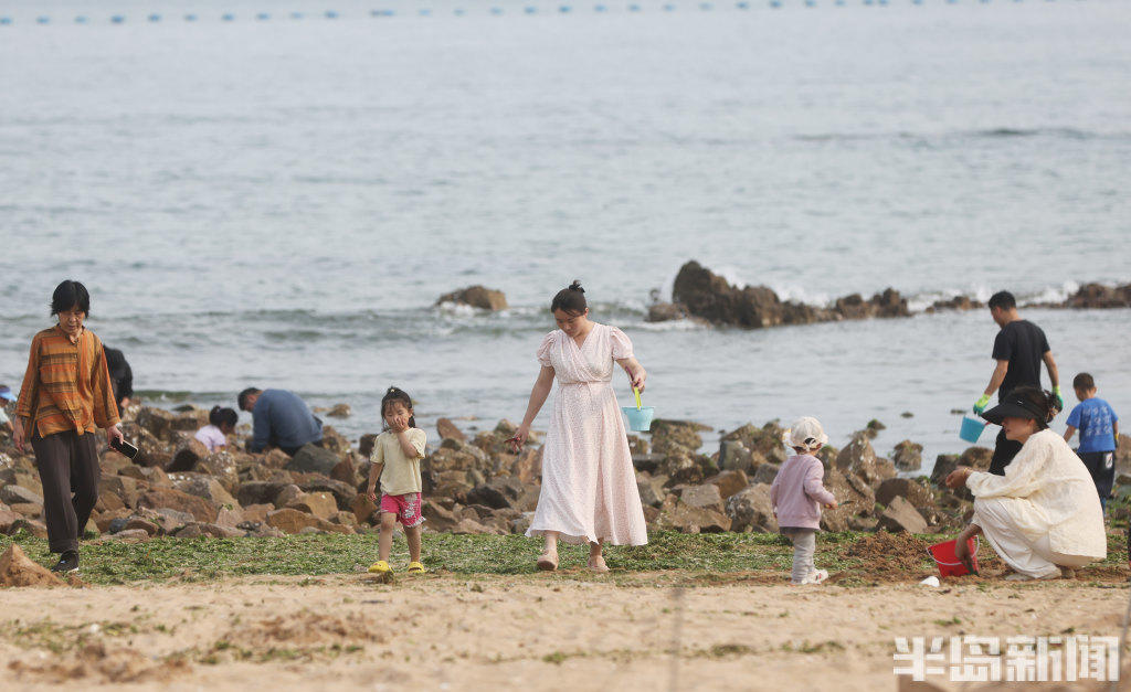 半岛网>青岛>1024_627