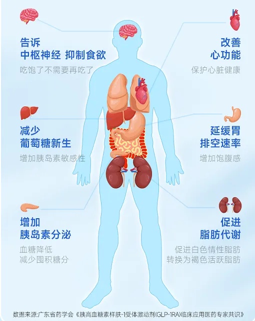 限量100支！青岛诺德重磅引入司美格鲁肽减重版，引领健康躺瘦新风尚！