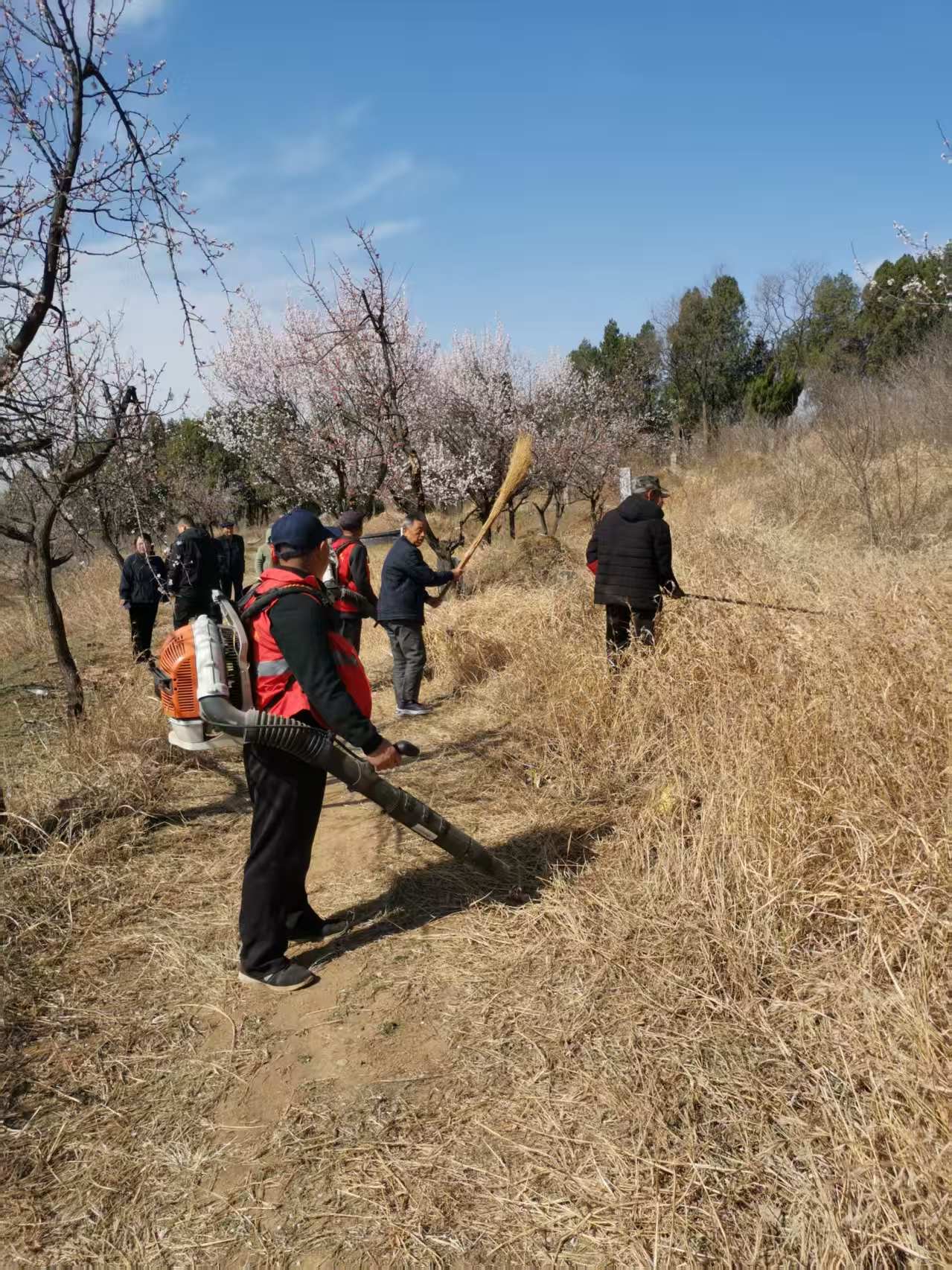 诸城市昌城镇守好青山责任田 筑牢巴山防火墙