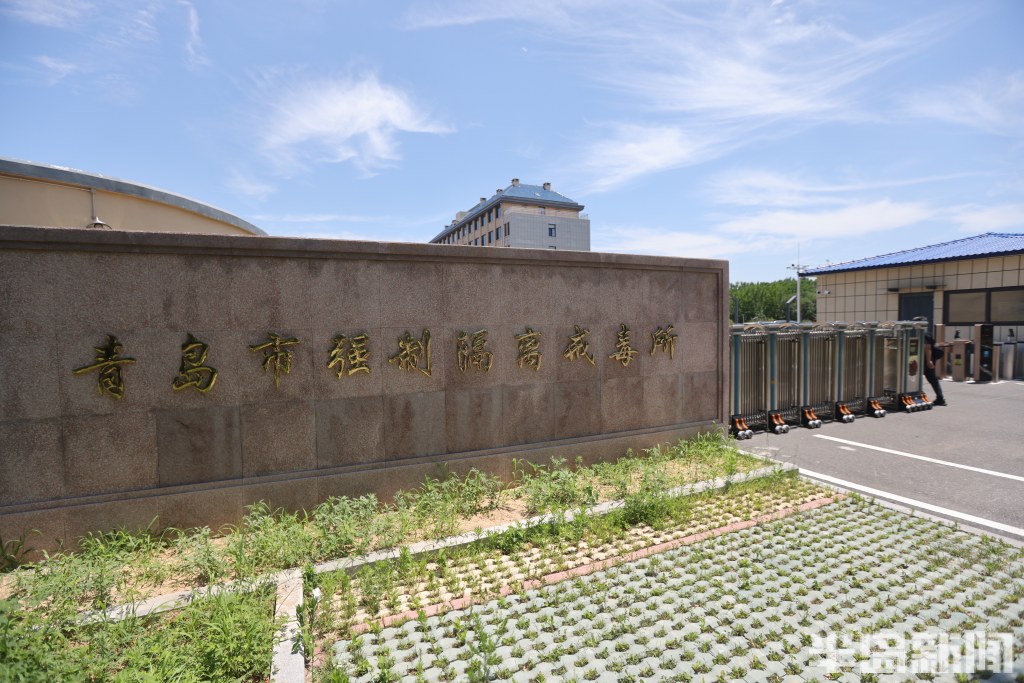 戴上VR眼镜帮助吸毒人员戒除毒瘾,青岛市强制隔离戒毒所举行“6·26”国际禁毒日场所开放日活动-半岛网