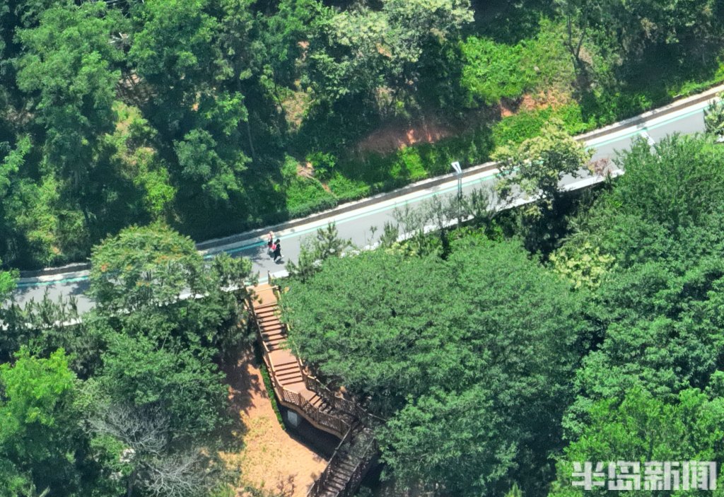 青岛浮山森林公园绿意盎然 市民徜徉在绿水青山间-半岛网