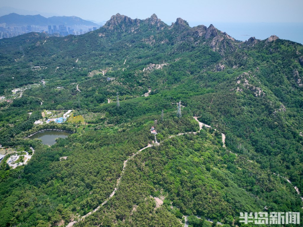 青岛浮山森林公园绿意盎然 市民徜徉在绿水青山间-半岛网