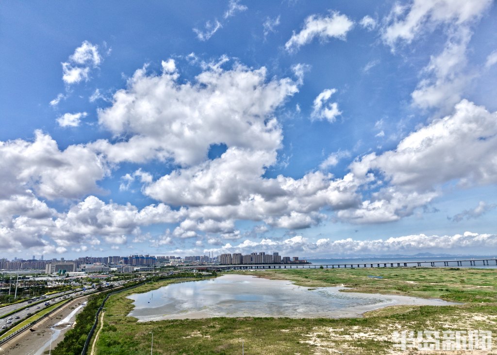 澄澈“青岛蓝”上线 海滨城铺展清新画卷-半岛网