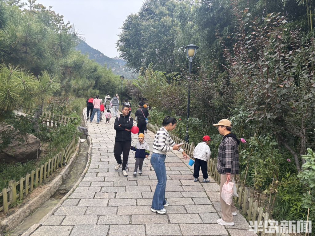 青岛竹子庵：金秋赏景正当时！-半岛网
