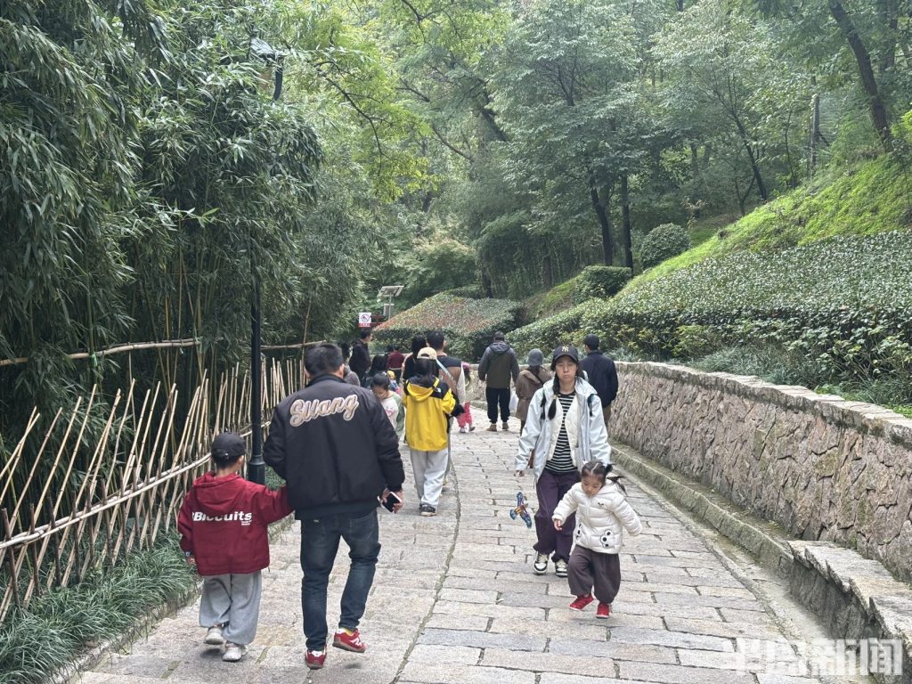 青岛竹子庵：金秋赏景正当时！-半岛网