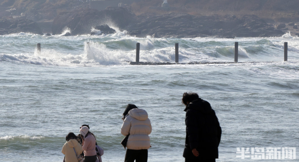 青岛沿海一线：海滨壮阔浪翻涌-半岛网